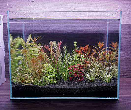 Custom Aquarium Plant Packages !